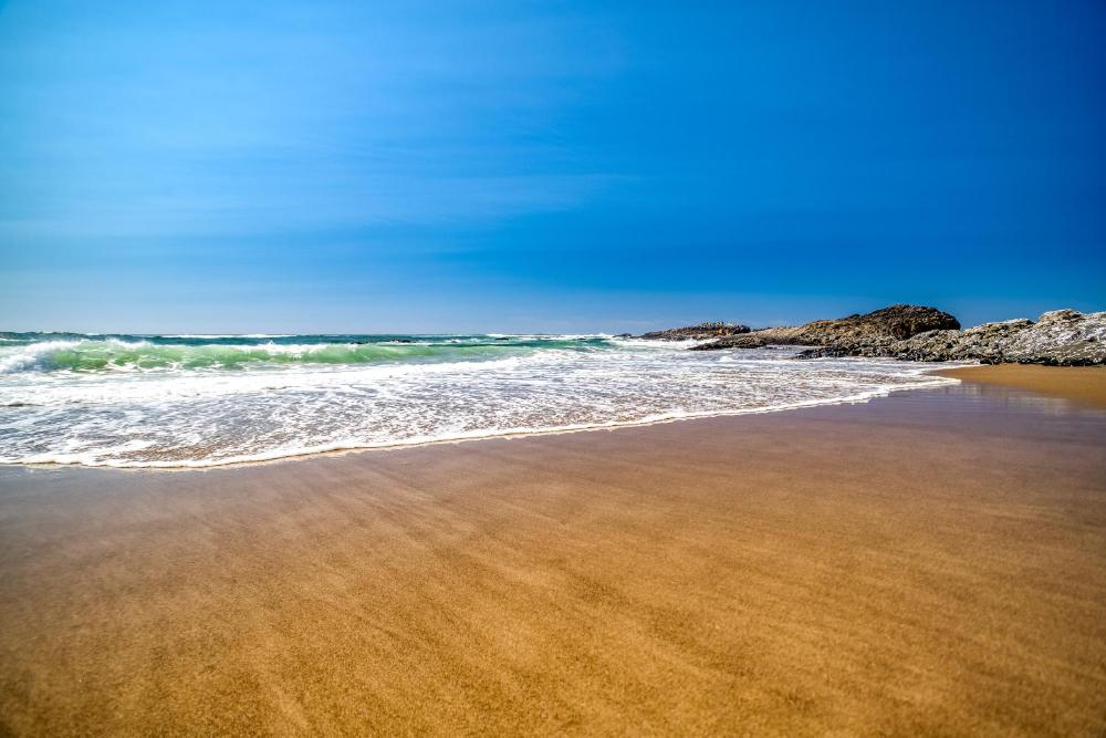 Tide and True